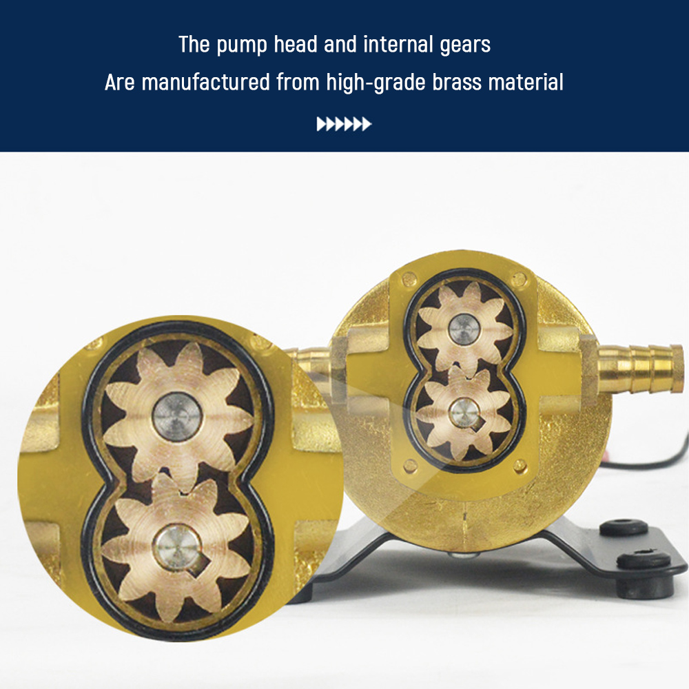 Gear Oil Pump 12V 24V Electric - огляд і ціна Mini Peristaltic Pump 12V