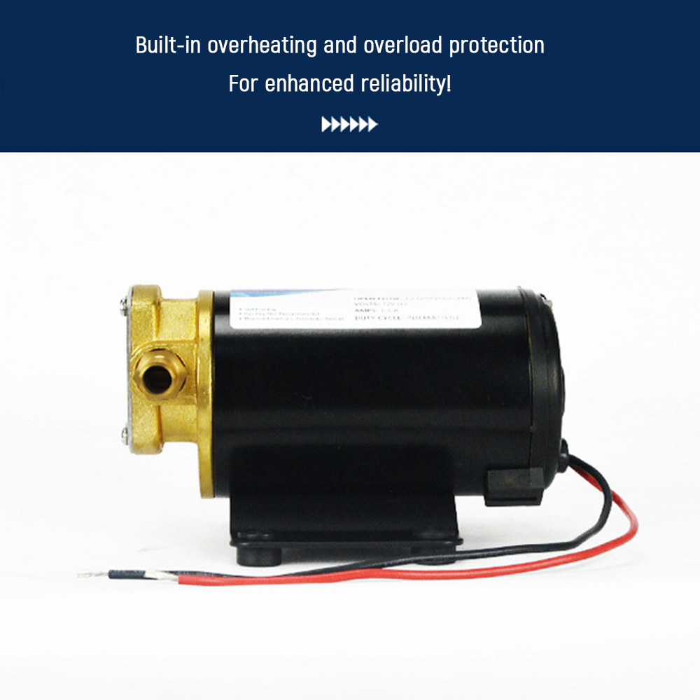 Gear Oil Pump 12V 24V Electric - огляд і ціна Mini Peristaltic Pump 12V